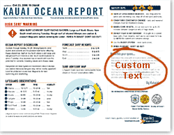 Add your custom text to the Ocean Report Custom Text