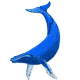 kohola