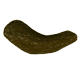 sea_cucumber