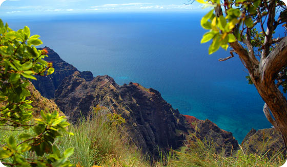 Awaawapuhi trail
