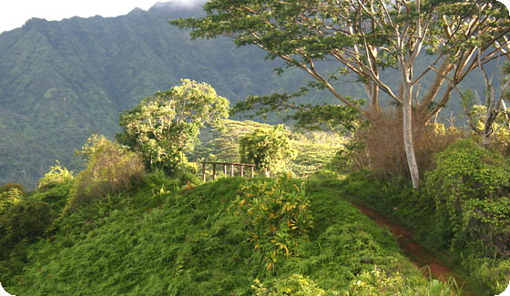 Kuilau Trail