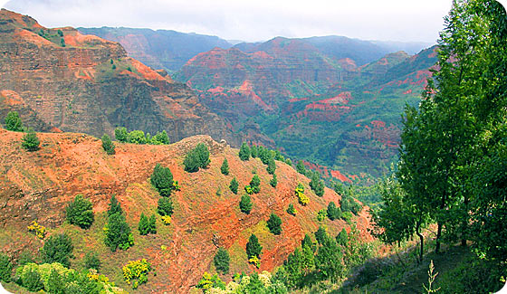 Kukui Trail