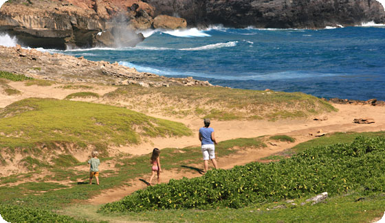Maha'ulepu Trail