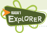 Kauai Beach Explorer